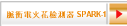脈衝電火花檢測器 SPARK-1