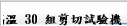 高溫 30 組剪切試驗機
